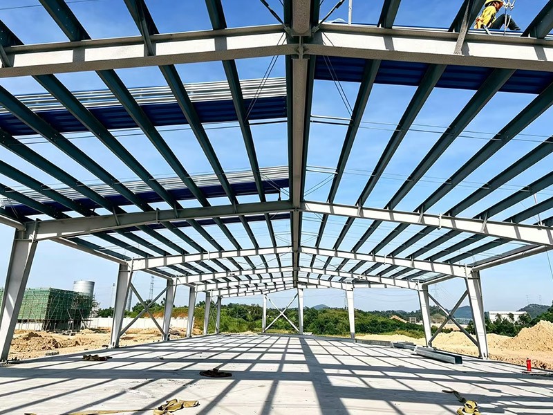 Applications and Construction Considerations for Steel-Framed Agricultural Greenhouses