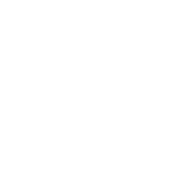 Steel Structure Bridge