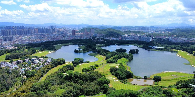Shenzhen Branch
